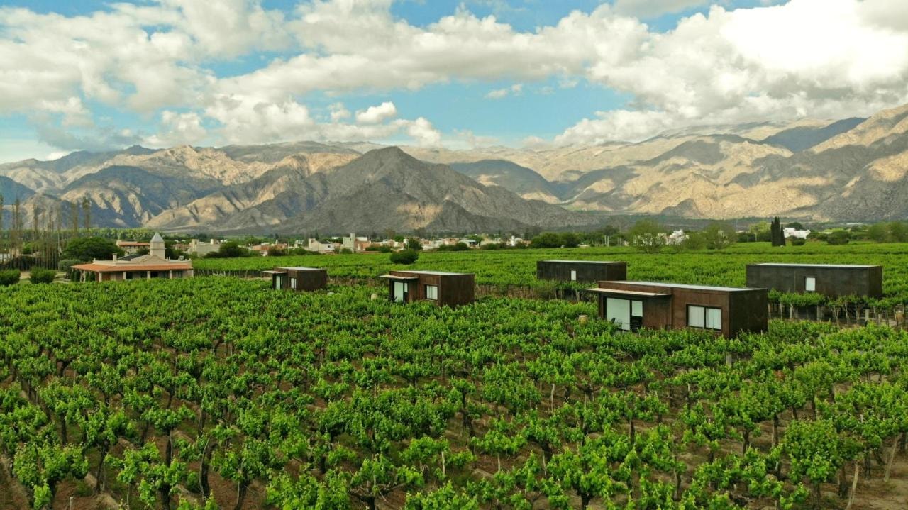 El Porvenir Wine Lodge - Imagen 1