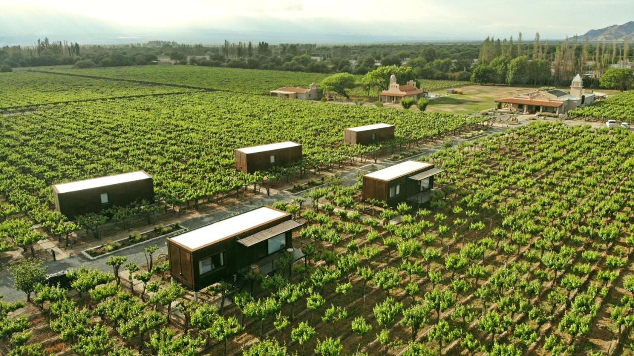 El Porvenir Wine Lodge - Imagen 2