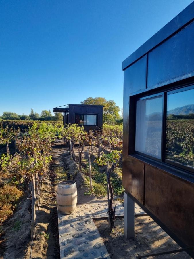 El Porvenir Wine Lodge - Imagen 3