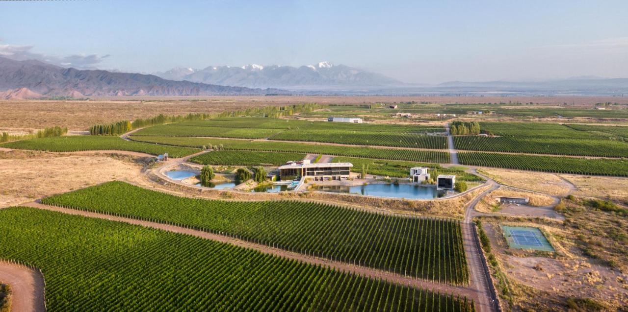 Casa de Uco Vineyards and Wine Resort - Imagen 1