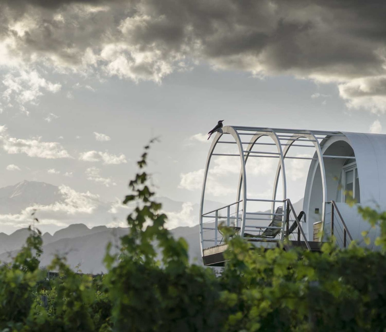 Entre Cielos Wine and Wellness Hotel - Imagen 2